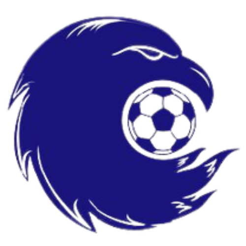 Azerbaijani Premier League crest